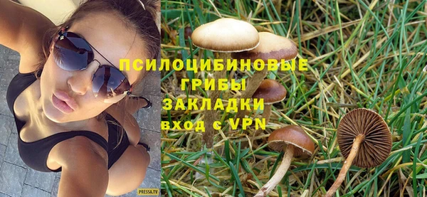 spice Белокуриха
